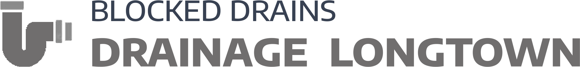 website logo